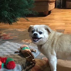 Meet your Posher, Dedra